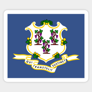 Flag of Connecticut State of the USA Sticker